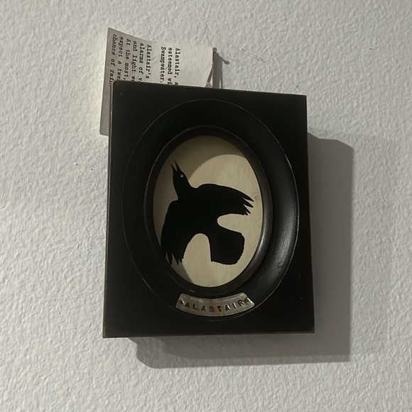 ALASTAIR BIRD PAINT ✨✨ - Picture 3 of 9